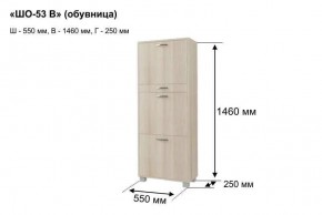 ШО-53 В тумба для обуви в Воткинске - votkinsk.mebel24.online | фото 8