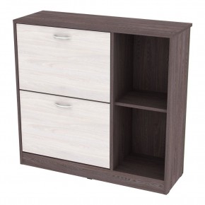 Обувница W29 (ЯАТ-ЯАС) в Воткинске - votkinsk.mebel24.online | фото