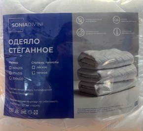 Одеяло Стеганное (теплое) в Воткинске - votkinsk.mebel24.online | фото