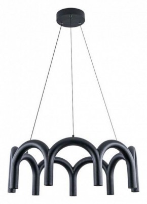 Подвесная люстра Arte Lamp Warhol A3258LM-45BK в Воткинске - votkinsk.mebel24.online | фото 2