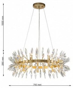 Подвесная люстра Favourite Rays 4058-14P в Воткинске - votkinsk.mebel24.online | фото 7