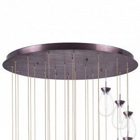 Подвесная люстра Lightstar Colore 805289 в Воткинске - votkinsk.mebel24.online | фото 6
