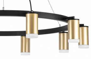 Подвесная люстра Lightstar Rullo LR0204000 в Воткинске - votkinsk.mebel24.online | фото 5