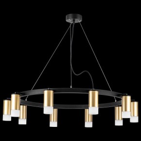 Подвесная люстра Lightstar Rullo LR0204001 в Воткинске - votkinsk.mebel24.online | фото 3