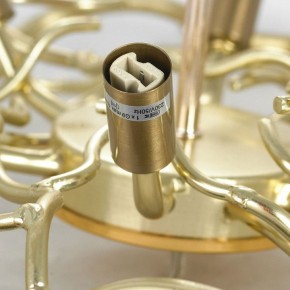 Подвесная люстра Lussole Adams LSP-8605 в Воткинске - votkinsk.mebel24.online | фото 5