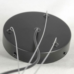 Подвесная люстра Lussole LSP-875 LSP-8750 в Воткинске - votkinsk.mebel24.online | фото 5