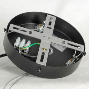 Подвесная люстра Lussole LSP-875 LSP-8750 в Воткинске - votkinsk.mebel24.online | фото 7