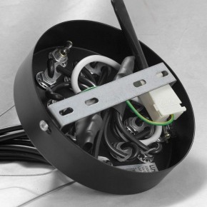 Подвесная люстра Lussole Seneca GRLSP-8177 в Воткинске - votkinsk.mebel24.online | фото 10