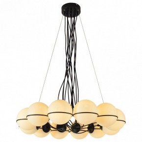 Подвесная люстра Lussole Seneca LSP-8177 в Воткинске - votkinsk.mebel24.online | фото