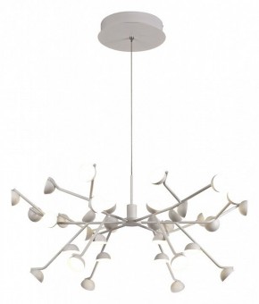 Подвесная люстра Mantra Adn 6260 в Воткинске - votkinsk.mebel24.online | фото 2