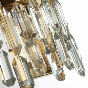 Подвесная люстра Odeon Light Dakisa 4986/12 в Воткинске - votkinsk.mebel24.online | фото 8