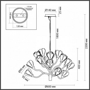 Подвесная люстра Odeon Light Gardi 5090/15 в Воткинске - votkinsk.mebel24.online | фото 6
