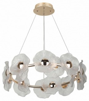 Подвесная люстра Rivoli Shannon Б0061947 в Воткинске - votkinsk.mebel24.online | фото 4