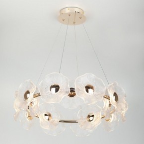 Подвесная люстра Rivoli Shannon Б0061947 в Воткинске - votkinsk.mebel24.online | фото 5