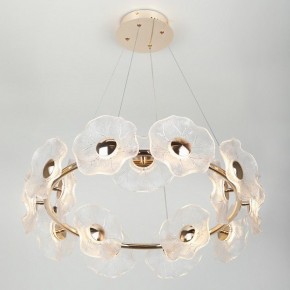Подвесная люстра Rivoli Shannon Б0061947 в Воткинске - votkinsk.mebel24.online | фото 6