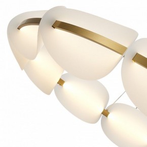 Подвесная люстра ST-Luce Etoile SL1304.203.65 в Воткинске - votkinsk.mebel24.online | фото 6