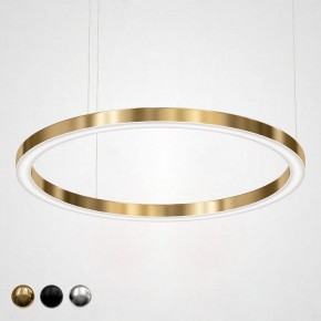 Подвесной светильник Imperiumloft Light Ring Horizontal 40.1454-120 в Воткинске - votkinsk.mebel24.online | фото