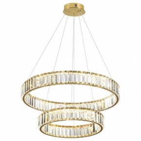 Подвесной светильник Odeon Light Vekia 5015/60L в Воткинске - votkinsk.mebel24.online | фото 2