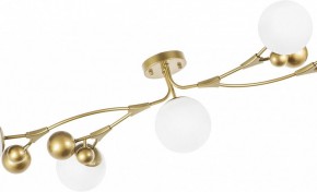 Потолочная люстра Lightstar Croco 815553 в Воткинске - votkinsk.mebel24.online | фото 6