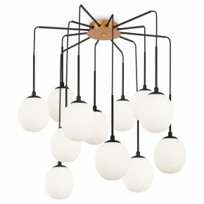 Потолочная люстра Maytoni Branch MOD176PL-12G в Воткинске - votkinsk.mebel24.online | фото 3