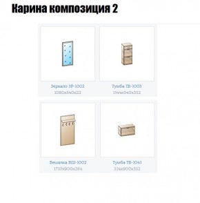 Прихожая Карина (модульная) в Воткинске - votkinsk.mebel24.online | фото 6