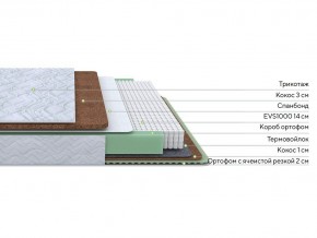 PROxSON Матрас Green Duo M/F (Tricotage Dream) 80x200 в Воткинске - votkinsk.mebel24.online | фото 1