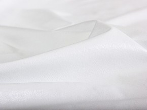 PROxSON Защитный чехол Aqua Save Light Top (Ткань влагостойкая Tencel Jersey) 90x195 в Воткинске - votkinsk.mebel24.online | фото 5