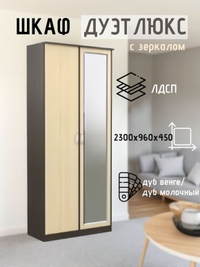 Шкаф 2-х створчатый Дуэт Люкс с зеркалом в Воткинске - votkinsk.mebel24.online | фото 1