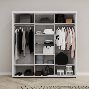Шкаф-купе Акцент-Квадро ДЗ 1500-600 в Воткинске - votkinsk.mebel24.online | фото 2