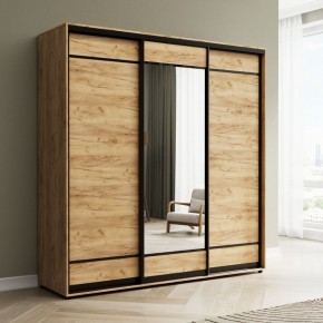 Шкаф-купе Акцент-Лайт ДЗ 1800-600 в Воткинске - votkinsk.mebel24.online | фото 1