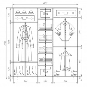 Шкаф-купе ХИТ 22-4-20-555 (420) в Воткинске - votkinsk.mebel24.online | фото 2