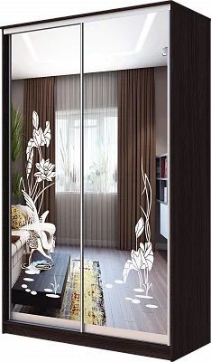 Шкаф-купе ХИТ 23-12-66 ЦАПЛИ в Воткинске - votkinsk.mebel24.online | фото