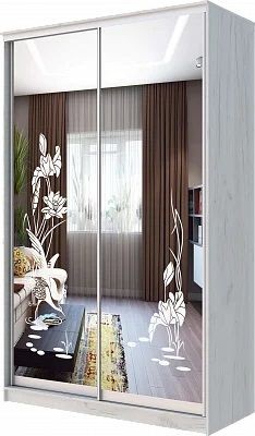 Шкаф-купе ХИТ 24-14-66 ЦАПЛИ в Воткинске - votkinsk.mebel24.online | фото