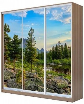 Шкаф-купе ХИТ 24-20/2-777 ПРИРОДА в Воткинске - votkinsk.mebel24.online | фото