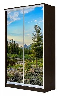 Шкаф-купе ХИТ 24-4-12/2-77 ПРИРОДА в Воткинске - votkinsk.mebel24.online | фото