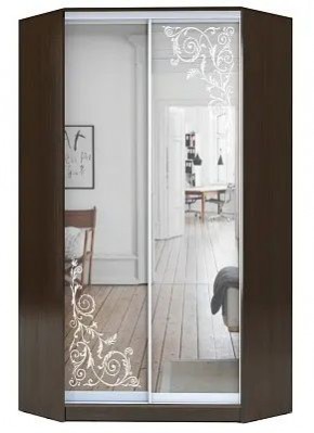 Шкаф-купе ХИТ-У-L-23-64-66 ОРНАМЕНТ в Воткинске - votkinsk.mebel24.online | фото