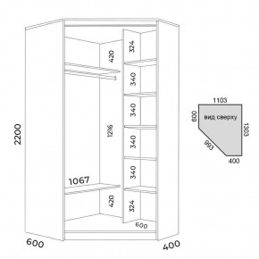 Шкаф-купе ХИТ-У-R-22-64-55 в Воткинске - votkinsk.mebel24.online | фото 3