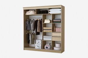 Шкаф-купе Орион 2.0 серия Альянс (дуб сонома) в Воткинске - votkinsk.mebel24.online | фото 2
