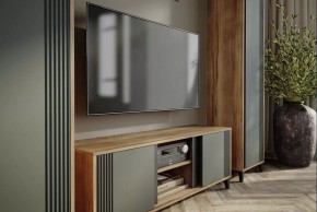 Шкаф платяной Богемия в Воткинске - votkinsk.mebel24.online | фото 3