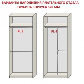 Шкаф распашной серия «ЗЕВС» (PL3/С1/PL2) в Воткинске - votkinsk.mebel24.online | фото 10