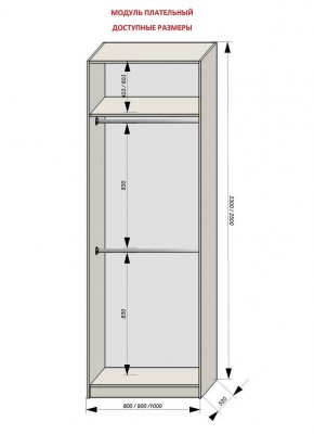 Шкаф распашной серия «ЗЕВС» (PL3/С1/PL2) в Воткинске - votkinsk.mebel24.online | фото 12