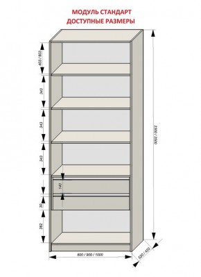 Шкаф распашной серия «ЗЕВС» (PL3/С1/PL2) в Воткинске - votkinsk.mebel24.online | фото 13