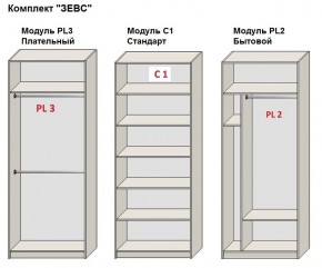 Шкаф распашной серия «ЗЕВС» (PL3/С1/PL2) в Воткинске - votkinsk.mebel24.online | фото 2