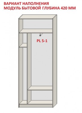 Шкаф распашной серия «ЗЕВС» (PL3/С1/PL2) в Воткинске - votkinsk.mebel24.online | фото 4