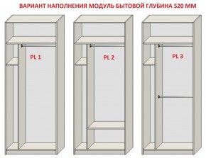 Шкаф распашной серия «ЗЕВС» (PL3/С1/PL2) в Воткинске - votkinsk.mebel24.online | фото 5