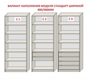 Шкаф распашной серия «ЗЕВС» (PL3/С1/PL2) в Воткинске - votkinsk.mebel24.online | фото 6