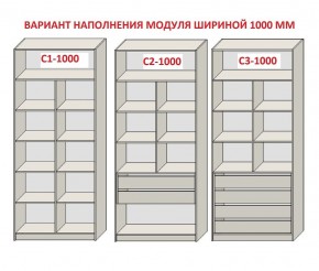 Шкаф распашной серия «ЗЕВС» (PL3/С1/PL2) в Воткинске - votkinsk.mebel24.online | фото 7