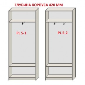 Шкаф распашной серия «ЗЕВС» (PL3/С1/PL2) в Воткинске - votkinsk.mebel24.online | фото 8