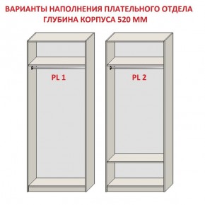 Шкаф распашной серия «ЗЕВС» (PL3/С1/PL2) в Воткинске - votkinsk.mebel24.online | фото 9