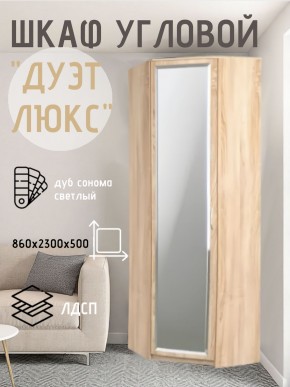 Шкаф угловой Дуэт Люкс с зеркалом в Воткинске - votkinsk.mebel24.online | фото 1